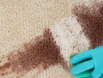 Best Guide to Remove Hard Carpet Stains