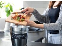 Indoor Composting: A Complete Guide and Tips