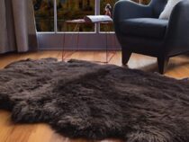 The Best Guide to Clean Sheepskin Rug