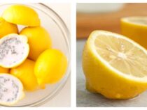 Brilliant Lemon Hacks for Everyday Household Tasks