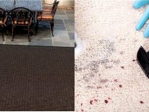 Cleaning Tips for Indoor-Outdoor Carpets
