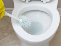 Cleaning Toilets: Still Doing It the Old-Fashioned Way?