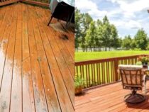 Common DIY Deck Staining Mistakes to Avoid