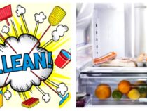 Complete Appliance Cleaning Guide