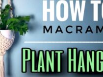 DIY: Easy Steps for Crafting a Macramé Plant Hanger