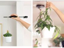 Hanging Plants: Ceiling Mounting Guide