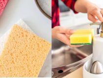 How to Know When to Replace Your Kitchen Sponge