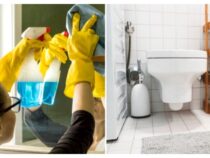 Master the Art of Toilet Cleaning