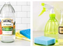 Surprising Uses of Vinegar in Everyday Household Tasks