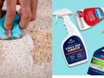 Carpet Stain Removal: Step-by-Step Guide for Every Scenario