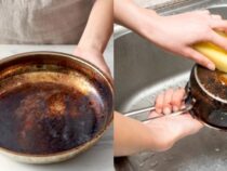 Savior Tips: 5 Easy Ways to Rescue a Scorched Pot