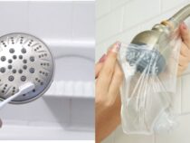 Shower Head Cleaning: Step-by-Step Guide
