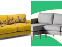 Sofa Selection 101: Top 5 Tips for the Perfect Couch