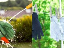 Washing and Maintaining Your Gardening Gloves