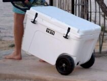 11 Must-Have Coolers for Epic Summer Escapades