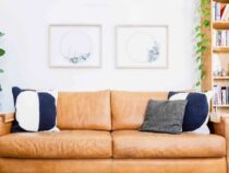 Leather Furniture & How to Most Effectively Clean Them
