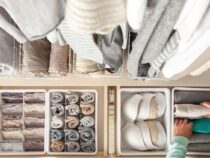 Professional Organizer: All Things You Need to Know