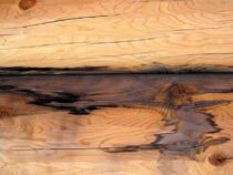 Water Stains on Wood: Best Way to Clean Them