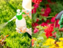 Pesticide-Free Gardening: Reasons to Skip Chemicals
