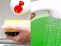 Speed-Cleaning Secrets: Genius Tips for Everyday Efficiency