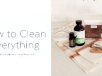 Mastering the Art of Cleaning: A Guide to Clean Everything