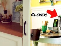 Smart and Frugal: DIY Clever Storage Solutions for Free