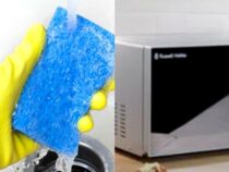 Microwave Magic: Unveiling Surprising Uses You Didn’t Know
