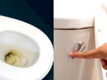 Proper Toilet Etiquette: Items to Never Flush Down the Toilet