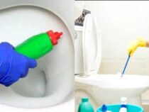 Unplugged: Clever Toilet Unclogging Methods
