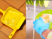 Cleaning Genius: 5 Must-Know Hacks for a Sparkling Home
