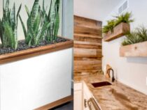 DIY Built-In Indoor Planter: Step-by-Step Guide