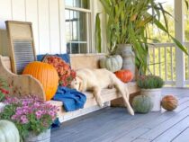 Embrace Autumn’s Charm: 16 Inspiring Fall Porches