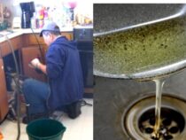 Insights from Your Plumber: 5 Things They Wish You Knew