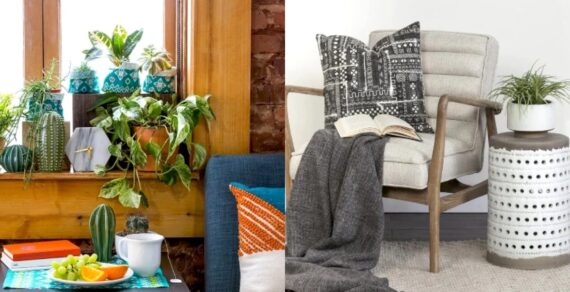 Personality-Packed Decor: 5 Ways to Style with Houseplants