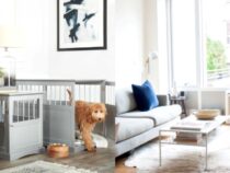 Pet-Friendly Furniture: 5 Pieces with Built-In Features