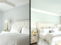 Tranquil Tones: 5 Calming Colors to Create a Serene Home