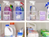 Best 12 Clever Storage Tips for Cleaning Closet