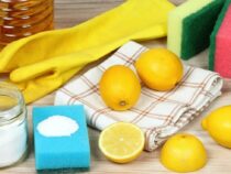 Cleaning Tips: 14 Eco-Friendly Ideas with Lemons