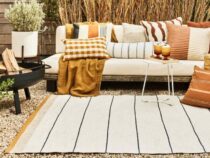 Best 6-Step Guide to Clean Outdoor Rug