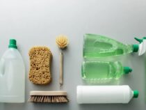 Best Lesson About Green Cleaning & Eco-Friendly Products
