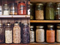 Unwanted Pantry Guests: Identifying Food-Invading Pests