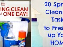 One-Day Spring Cleaning: Efficient and Effective Tips
