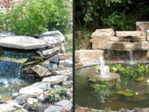 Backyard Tranquility: Relaxing Pond Waterfall Ideas