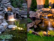 Backyard Oasis: Stunning Ponds to Enhance Your Landscape