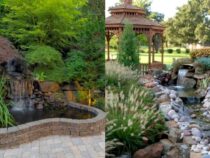 Incredible Edible Landscaping: Tips for a Transformed Yard