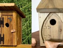 Unique Avian Abodes: Cool Birdhouse Ideas for Your Yard