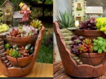 Stunning DIY Flower Pot Ideas for Porch or Garden