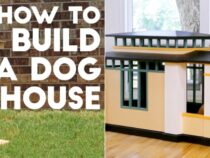 Pamper Your Pup: DIY Dog House Ideas for Your Furry Friend