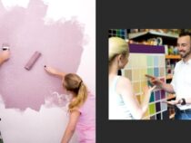 Efficient Tips for Choosing Paint Colors