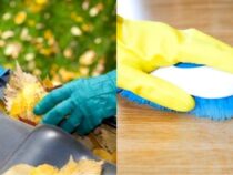 Autumn Cleaning Checklist: Essential Tasks